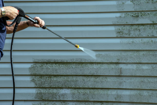 Best Sidewalk and Walkway Cleaning  in Oriole Beach, FL
